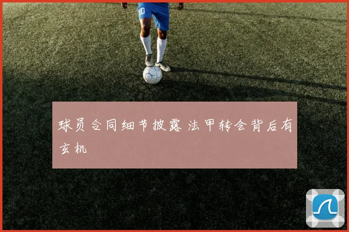 球员合同细节披露 法甲转会背后有玄机